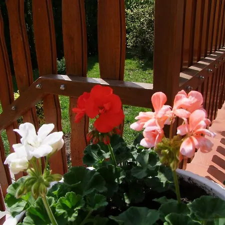 Casa vacanze Rajna Vendeghaz *