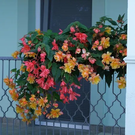 Rajna Vendeghaz Casa vacanze